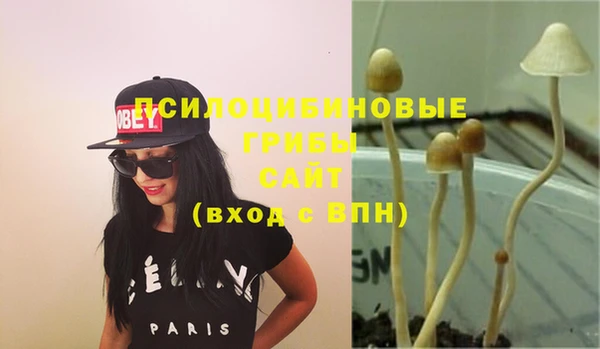 jwh Вяземский