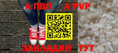 стафф Донской