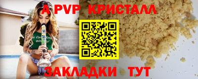 стафф Донской