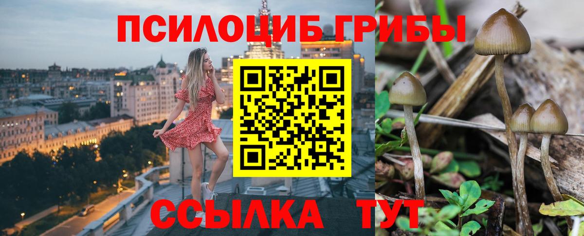 Галлюциногенные грибы GOLDEN TEACHER Мариинск